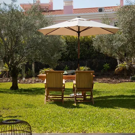 Savoy Casa Branca Iii By An Island Apartment Funchal (Madeira)
